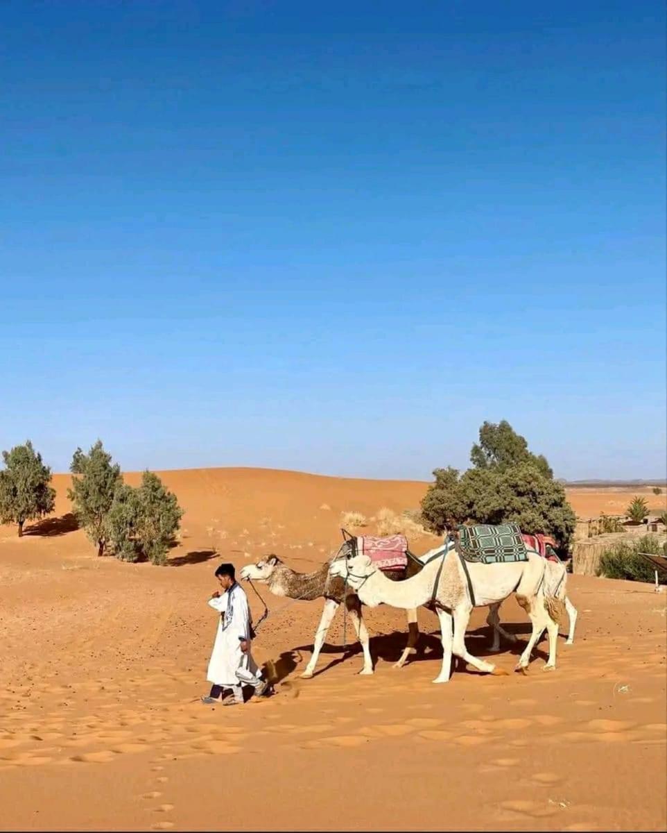 Hotel Tikida Camp By Tinfou à Zagora Extérieur photo